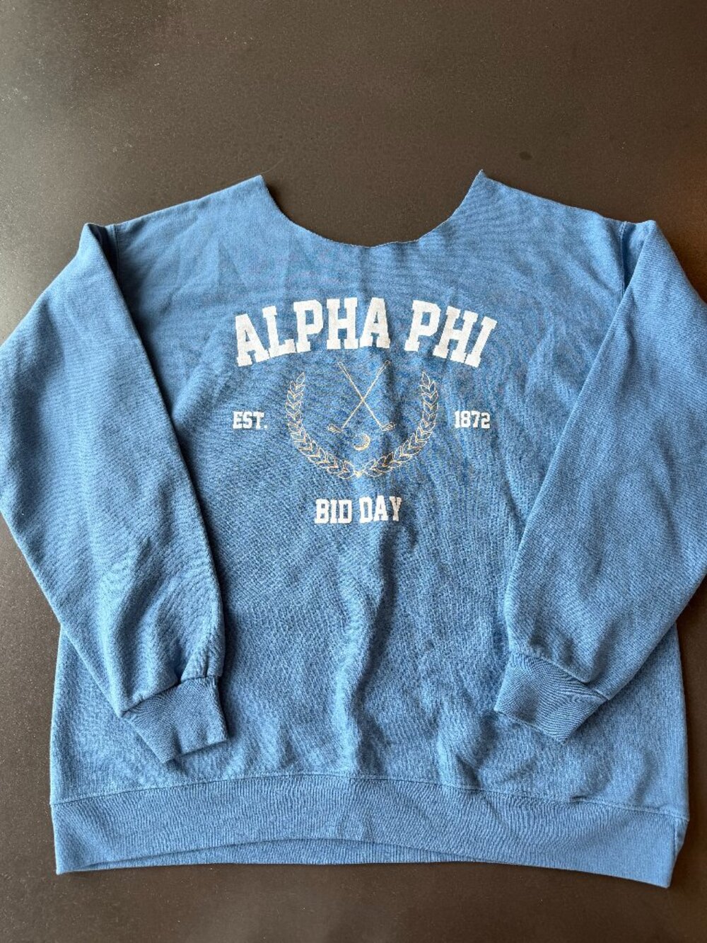 Alpha Phi Sorority Bid Day Sweatshirt - M/L - Blue